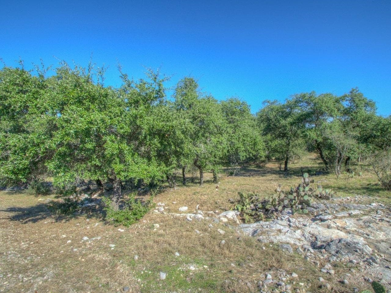 0.26 acres in Llano County - photo 7