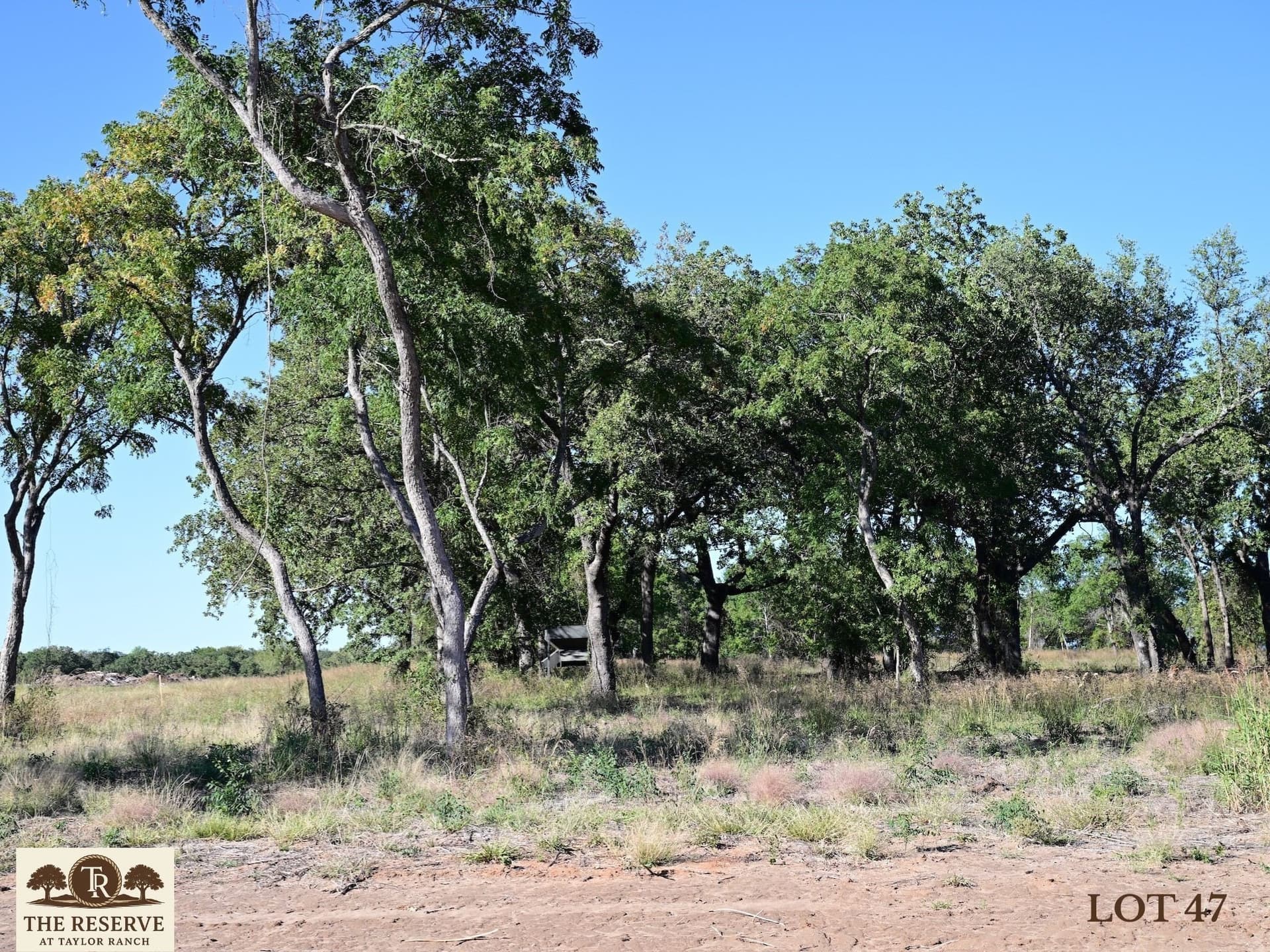 1.58 acres in Parker County - photo 3