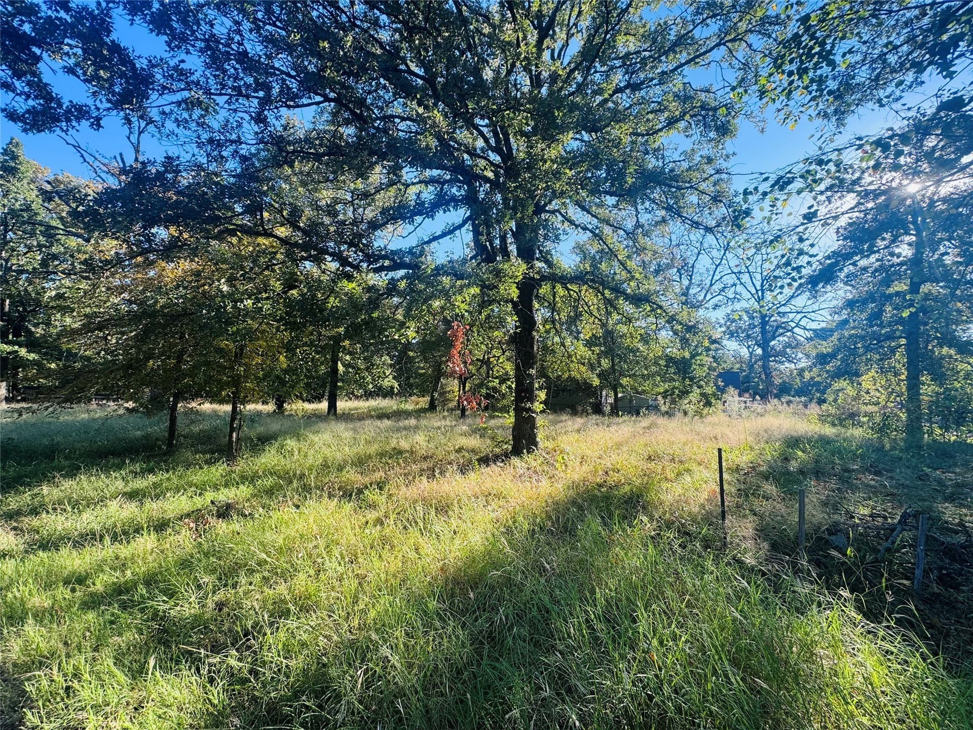 0.12 acres in Henderson County - photo 4