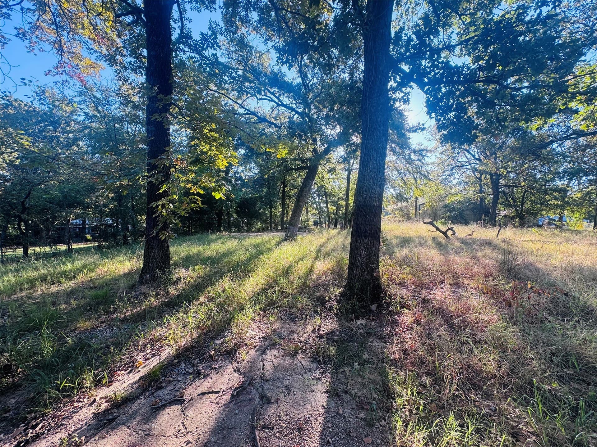 0.12 acres in Henderson County - photo 5