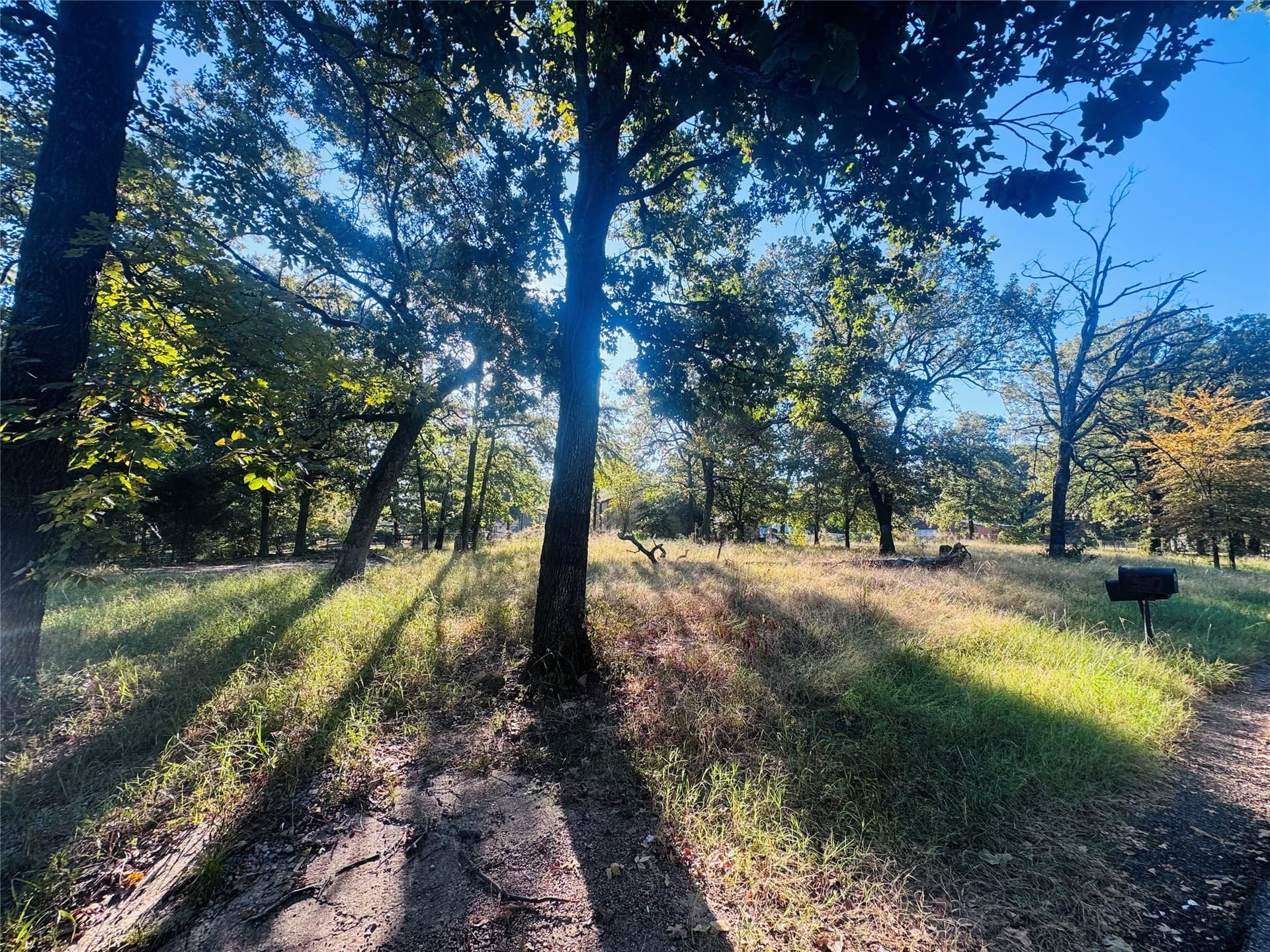 0.12 acres in Henderson County - photo 3