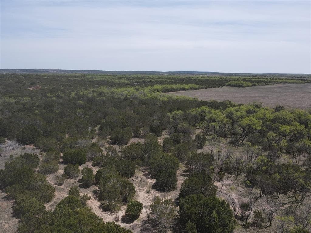 195.2 acres in Taylor County gallery image 4