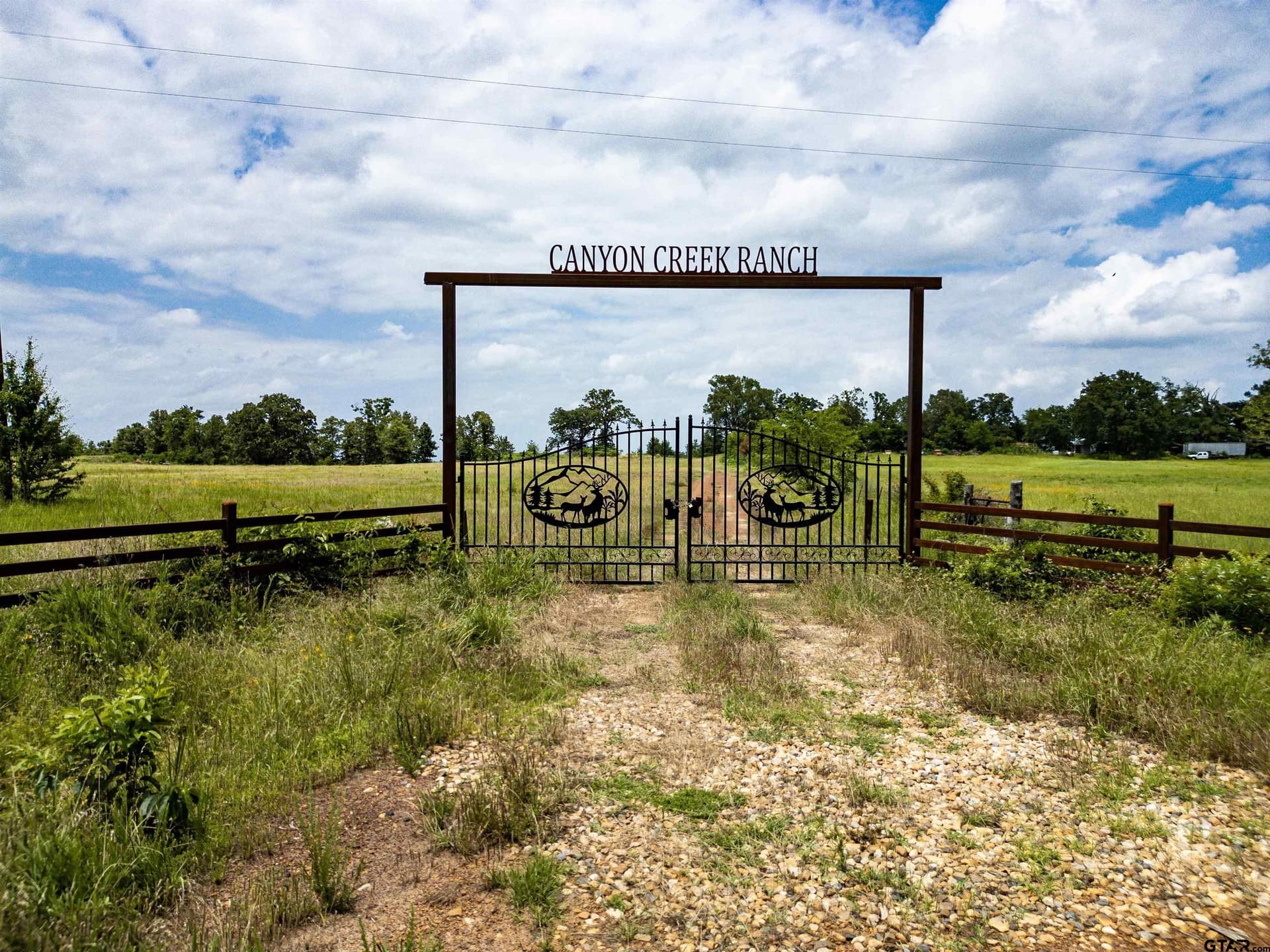 240 acres in Titus County gallery image 2
