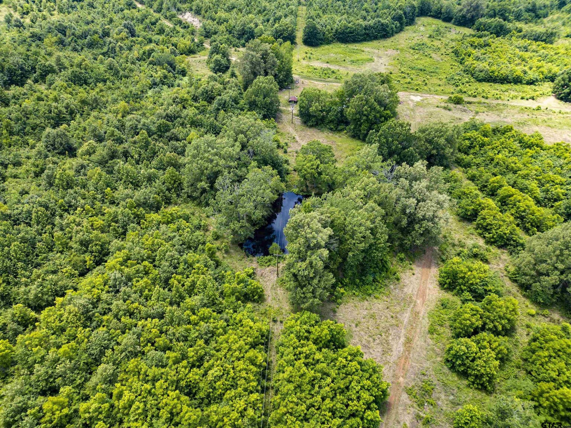 240 acres in Titus County - photo 21
