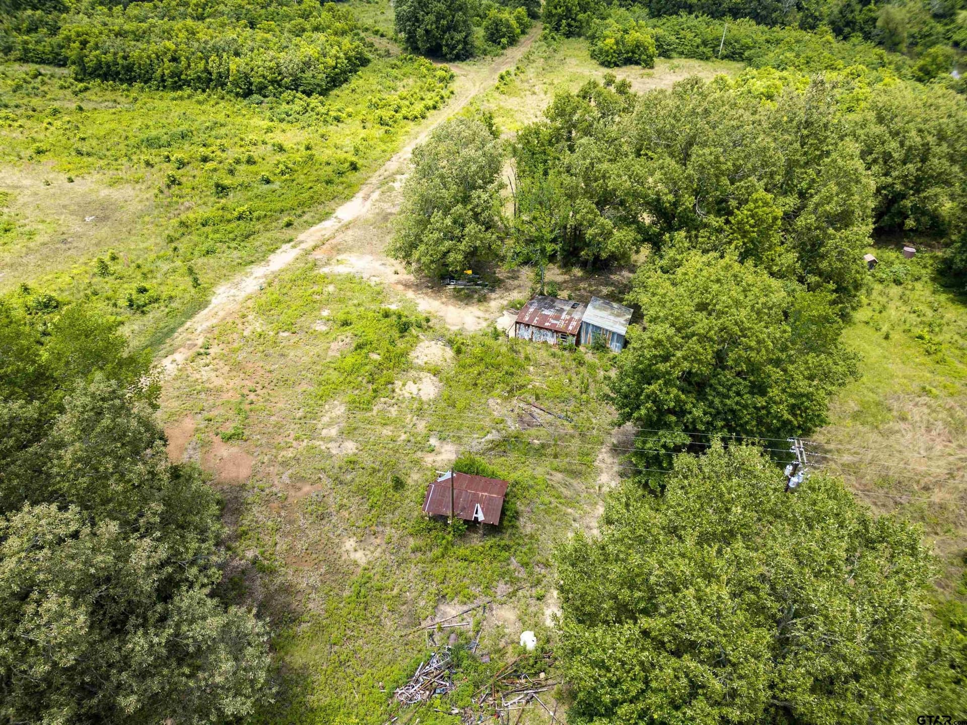 240 acres in Titus County gallery image 4