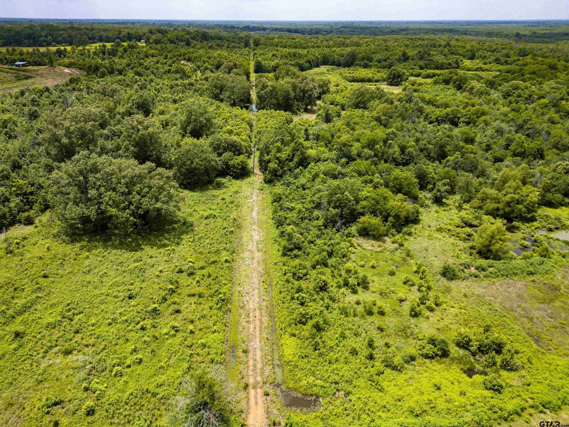 240 acres in Titus County - photo 20