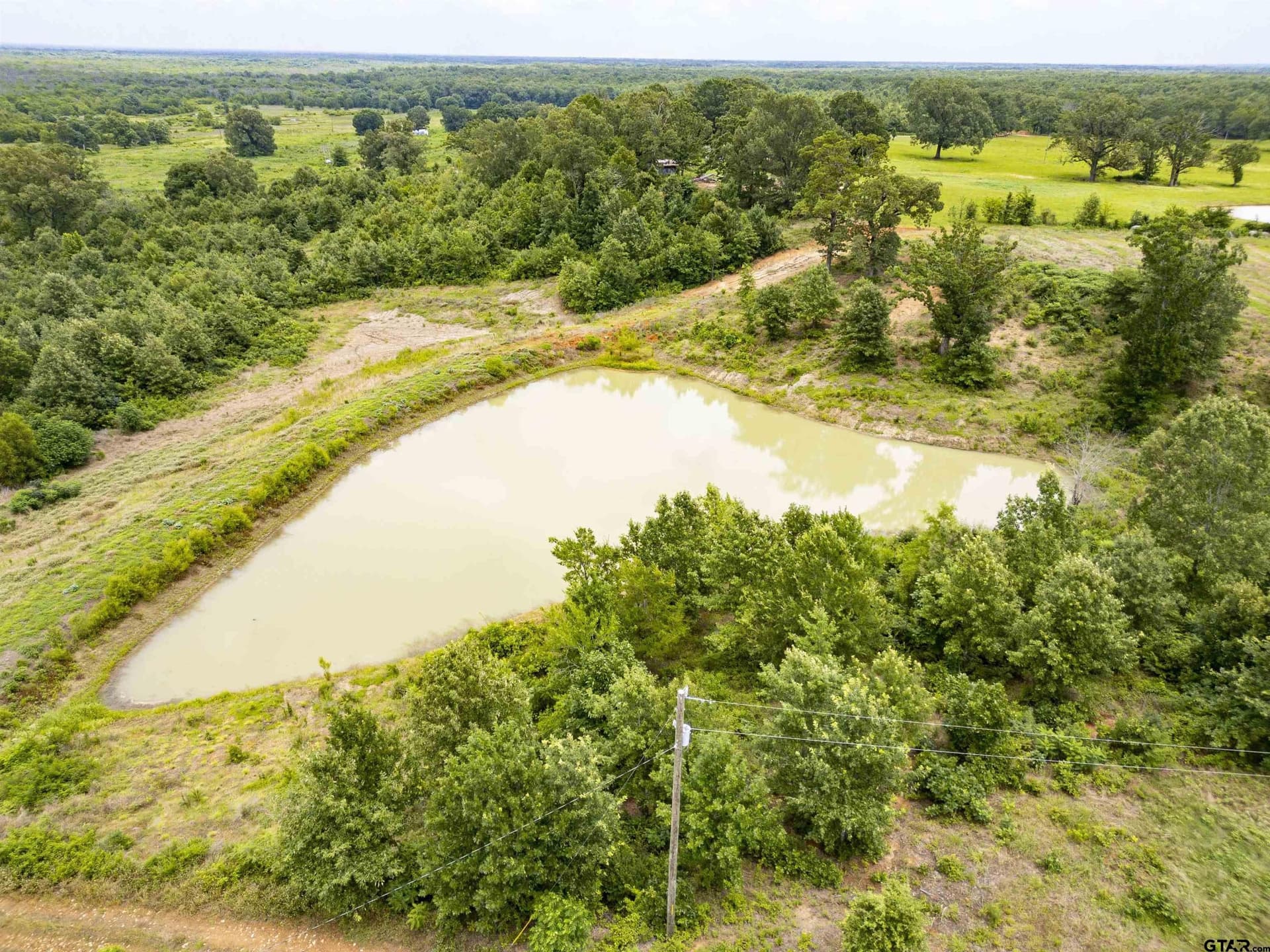 240 acres in Titus County featured view