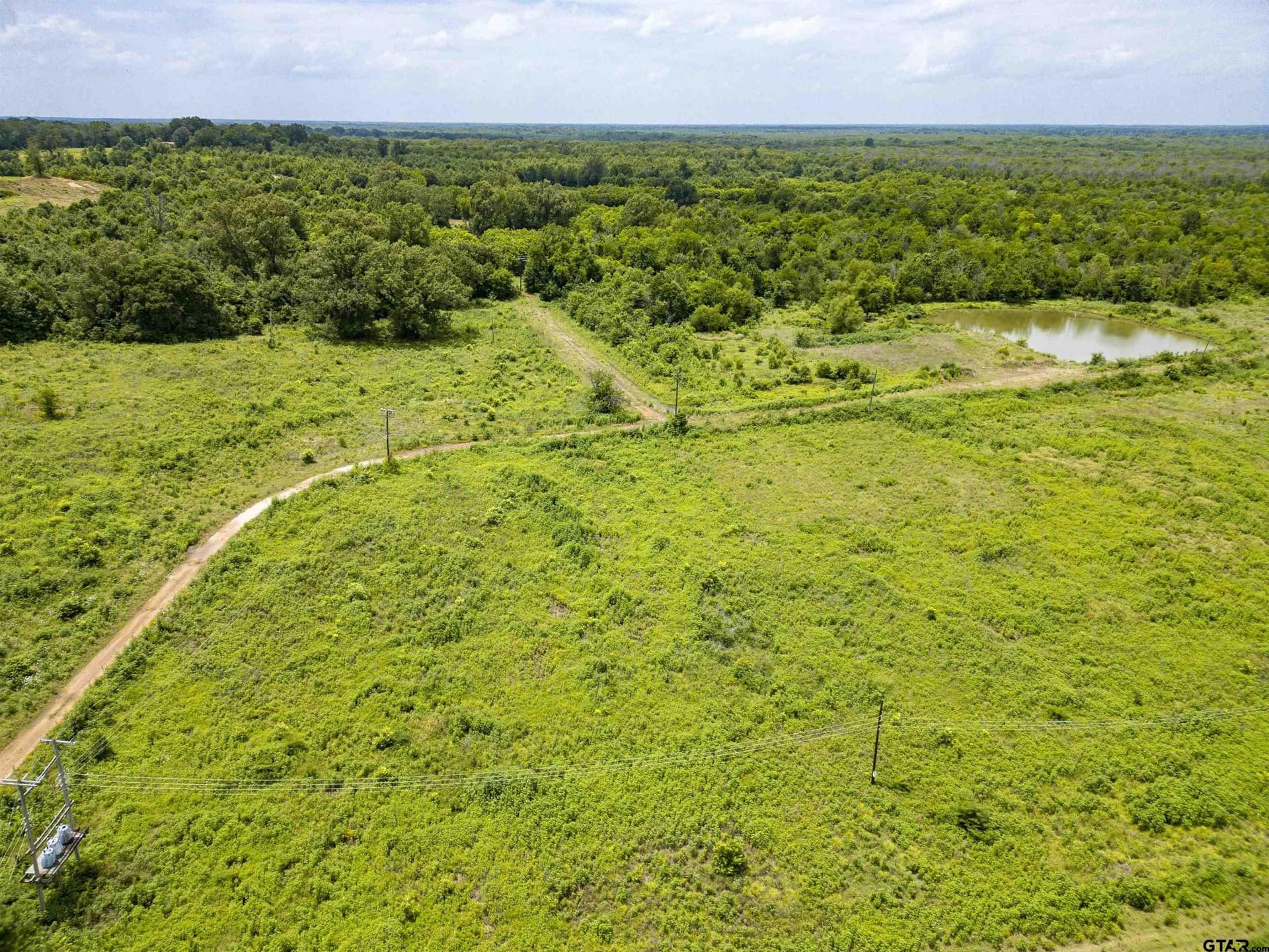 240 acres in Titus County - photo 6