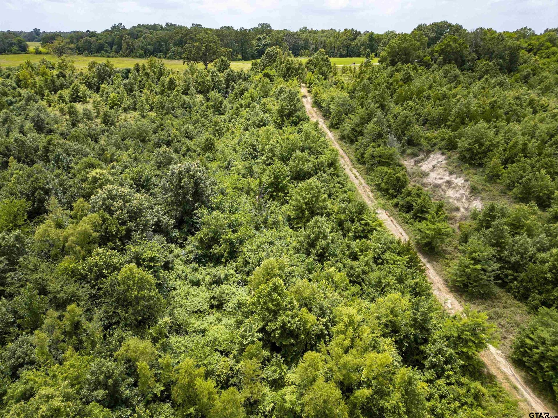 240 acres in Titus County - photo 22