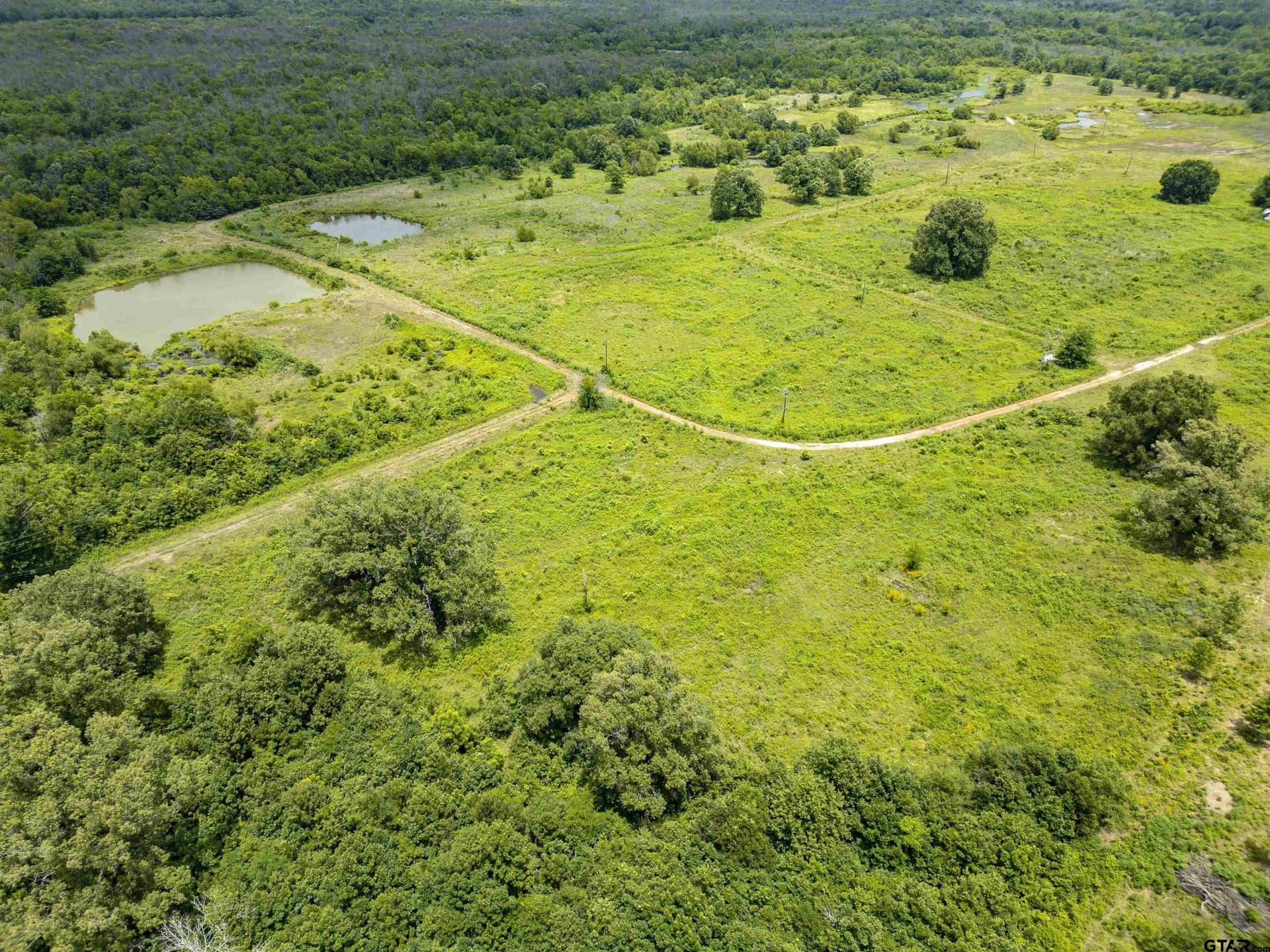 240 acres in Titus County - photo 9