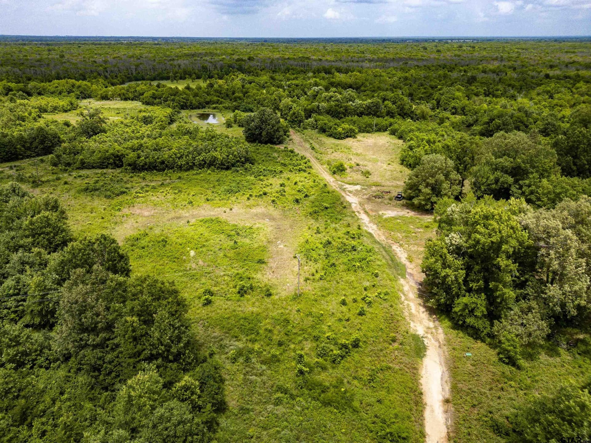 240 acres in Titus County - photo 23
