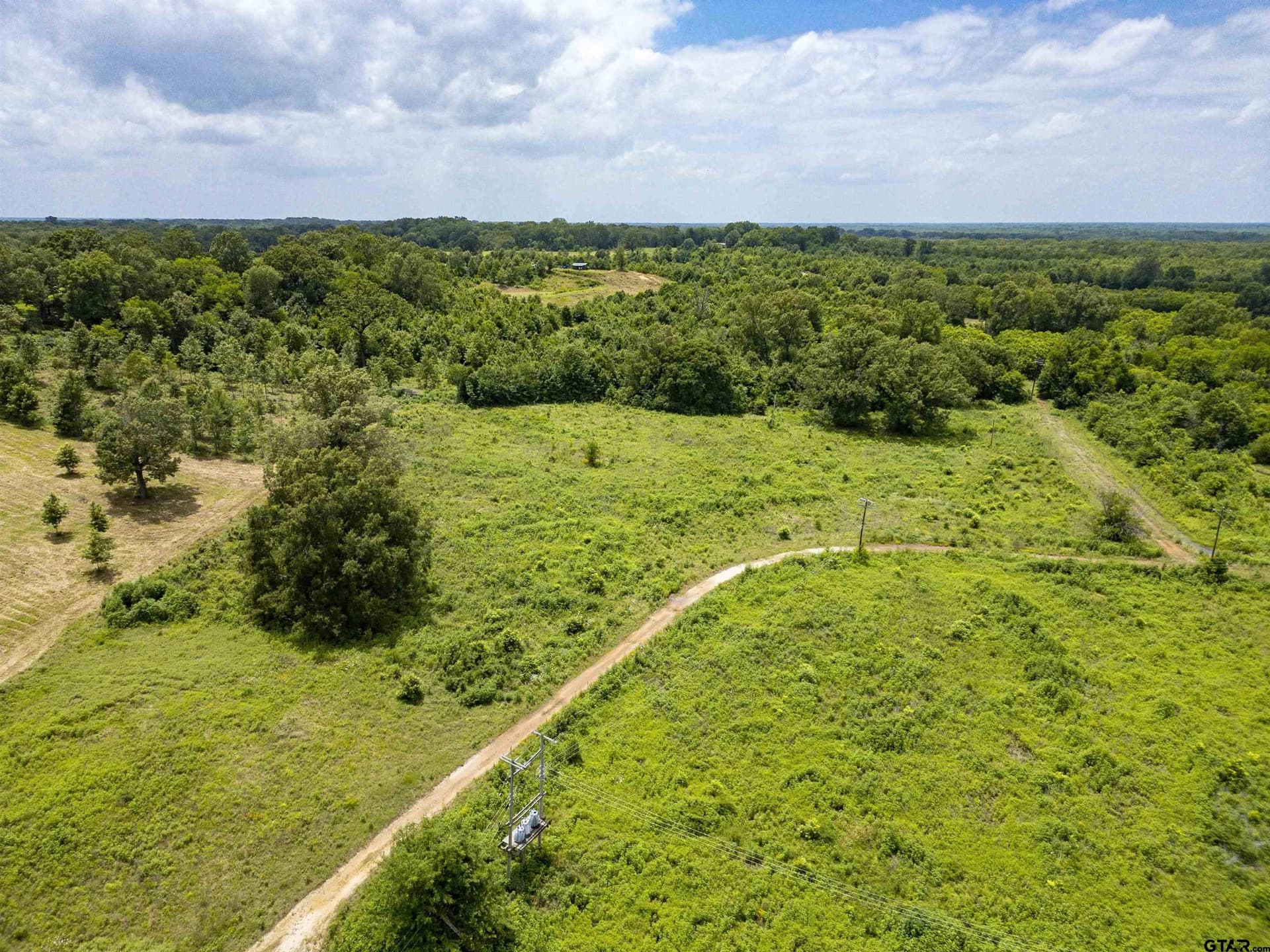 240 acres in Titus County gallery image 3