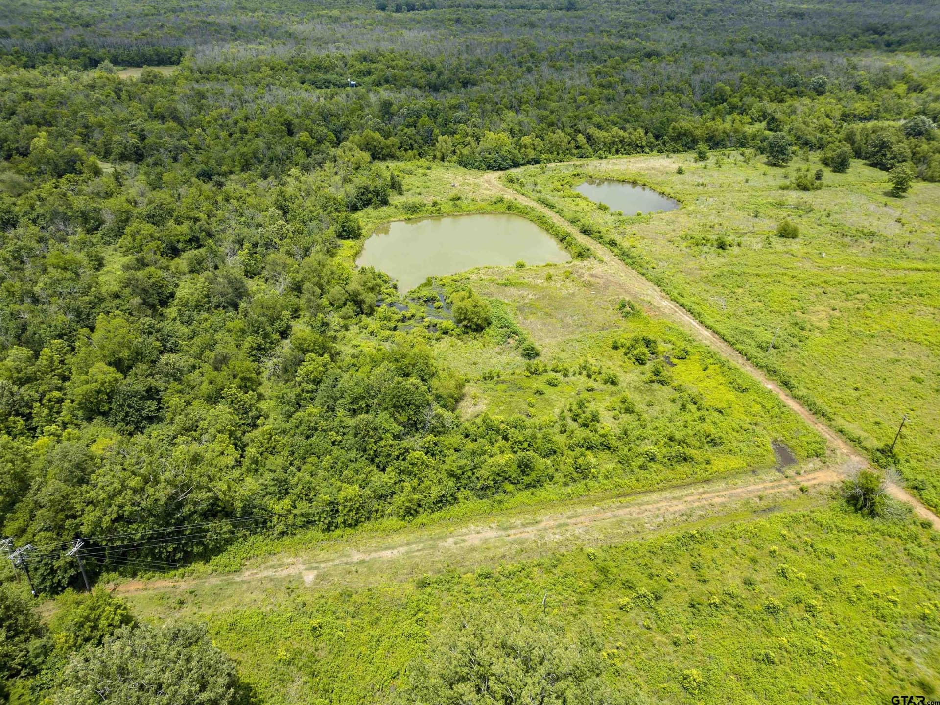 240 acres in Titus County - photo 10