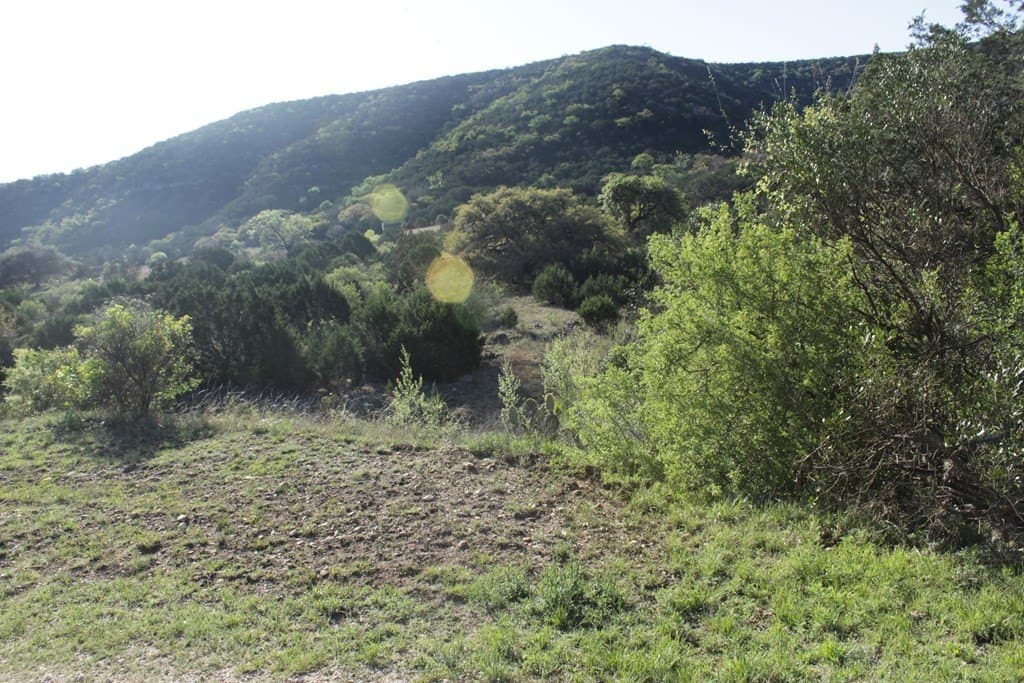 1,243.5 acres in Other County gallery image 2