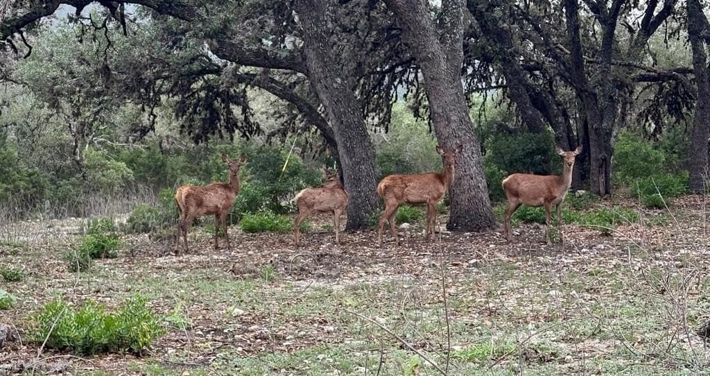 97.69 acres in Edwards County - photo 38