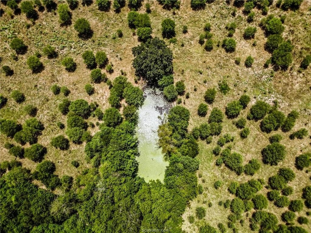 3.42 acres in Madison County - photo 10