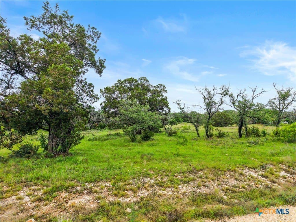 5.35 acres in Burnet County - photo 9