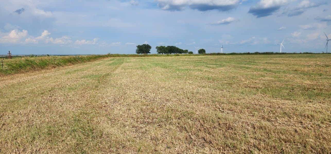 24 acres in Cooke County - photo 10