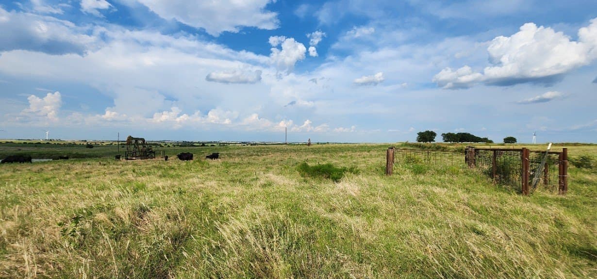 24 acres in Cooke County - photo 9