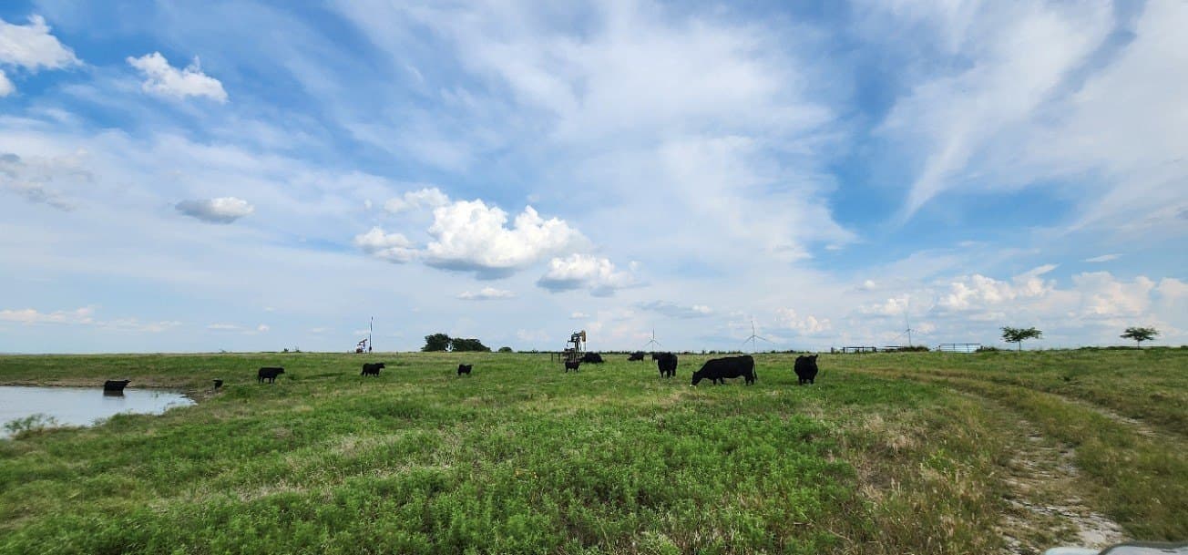 24 acres in Cooke County - photo 6