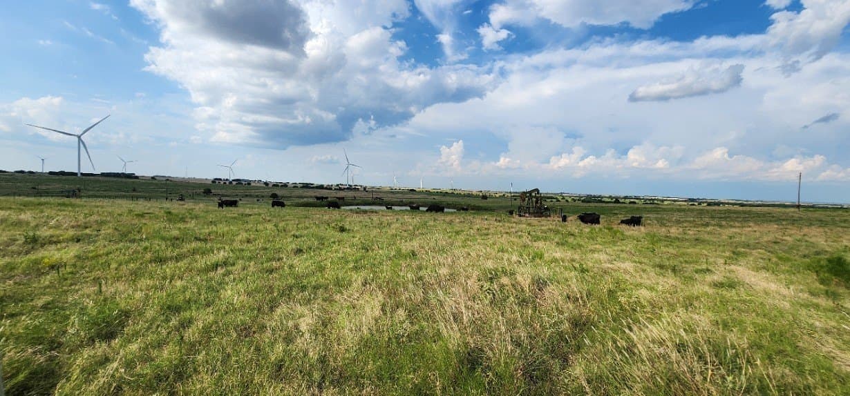 24 acres in Cooke County - photo 8