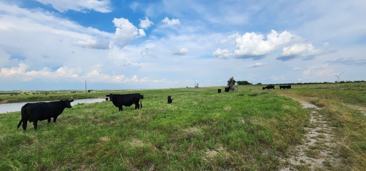 24 acres in Cooke County - photo 7