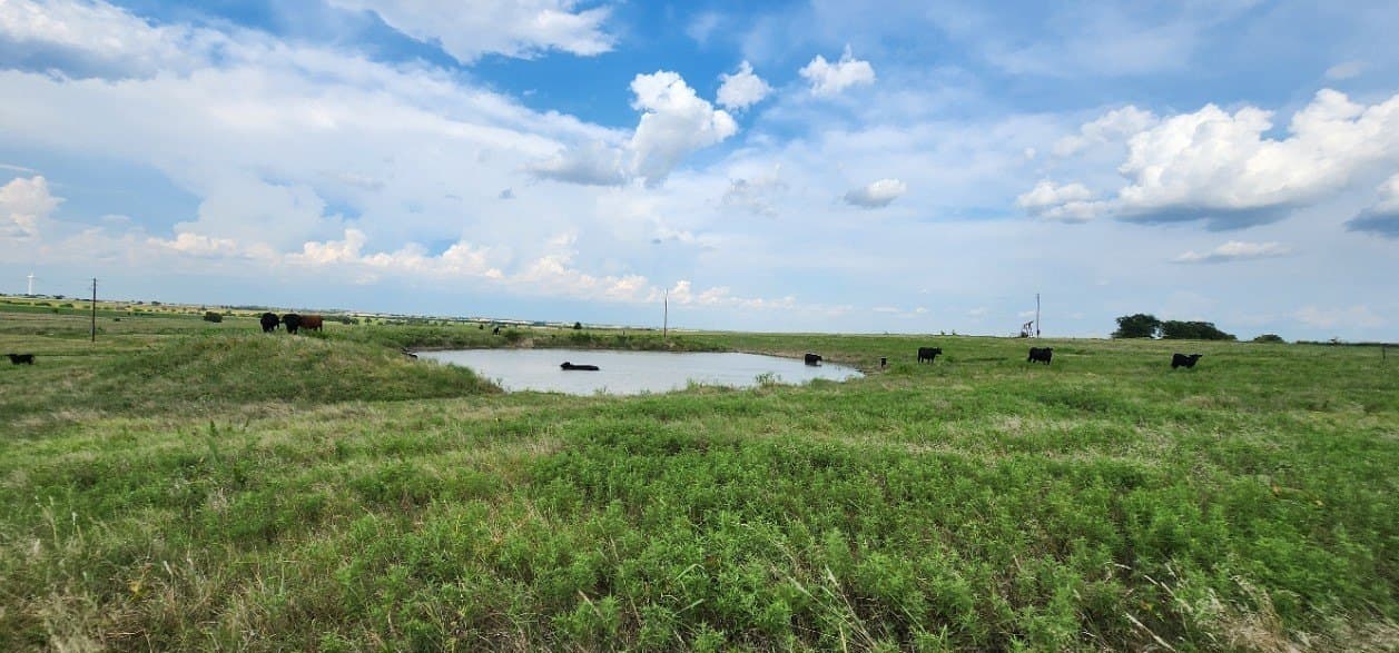24 acres in Cooke County - photo 16