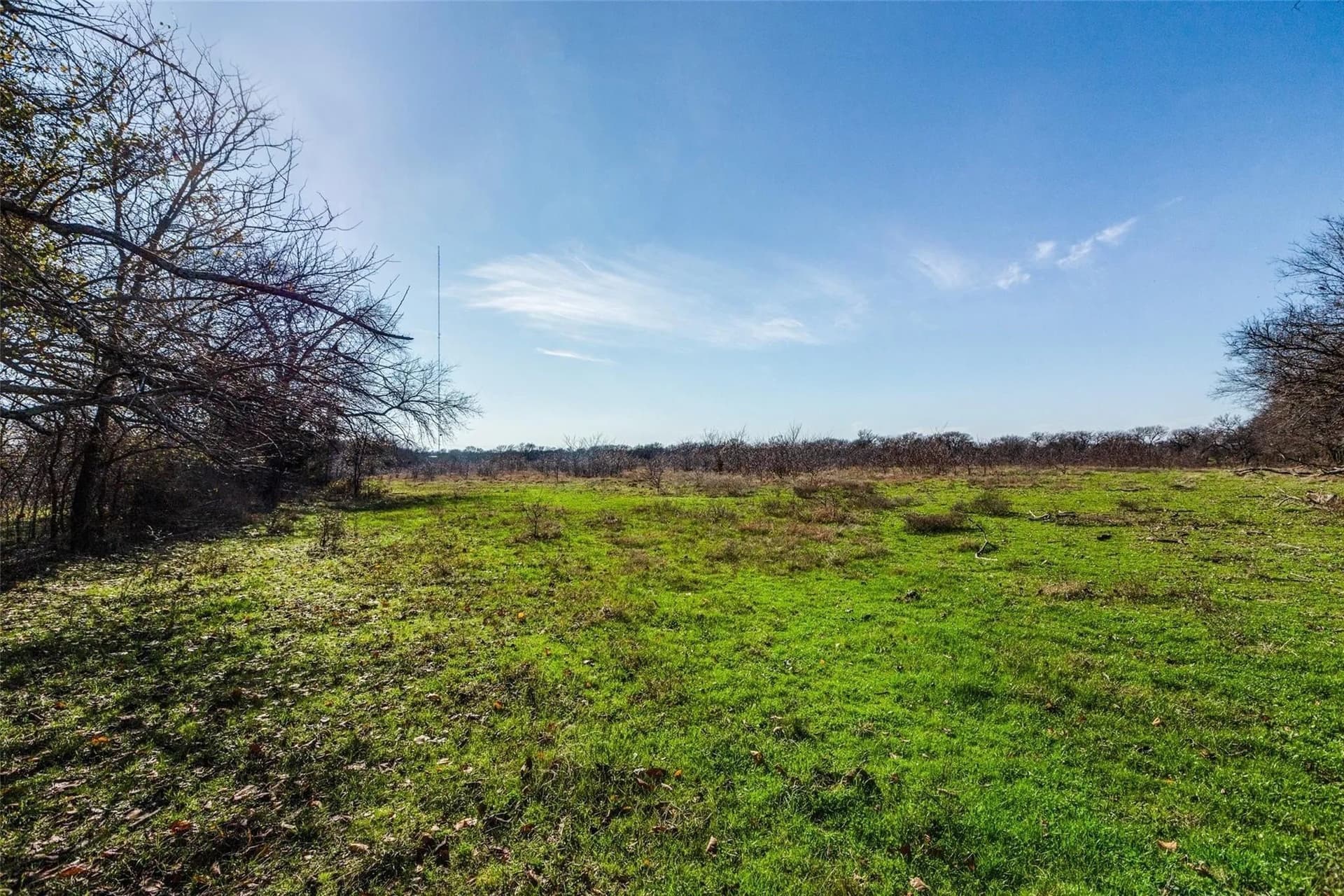45.6 acres in Collin County - photo 8