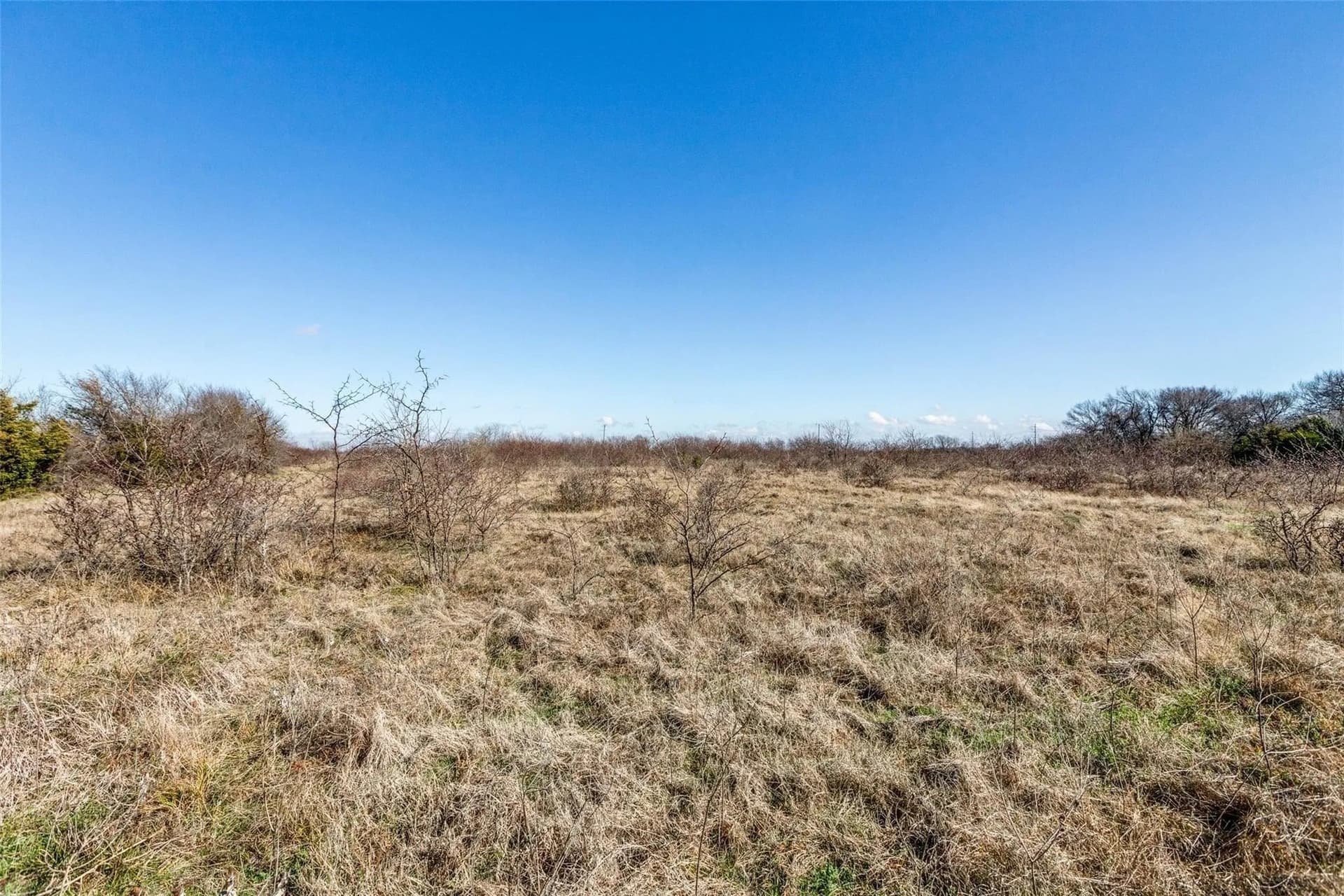 45.6 acres in Collin County - photo 7