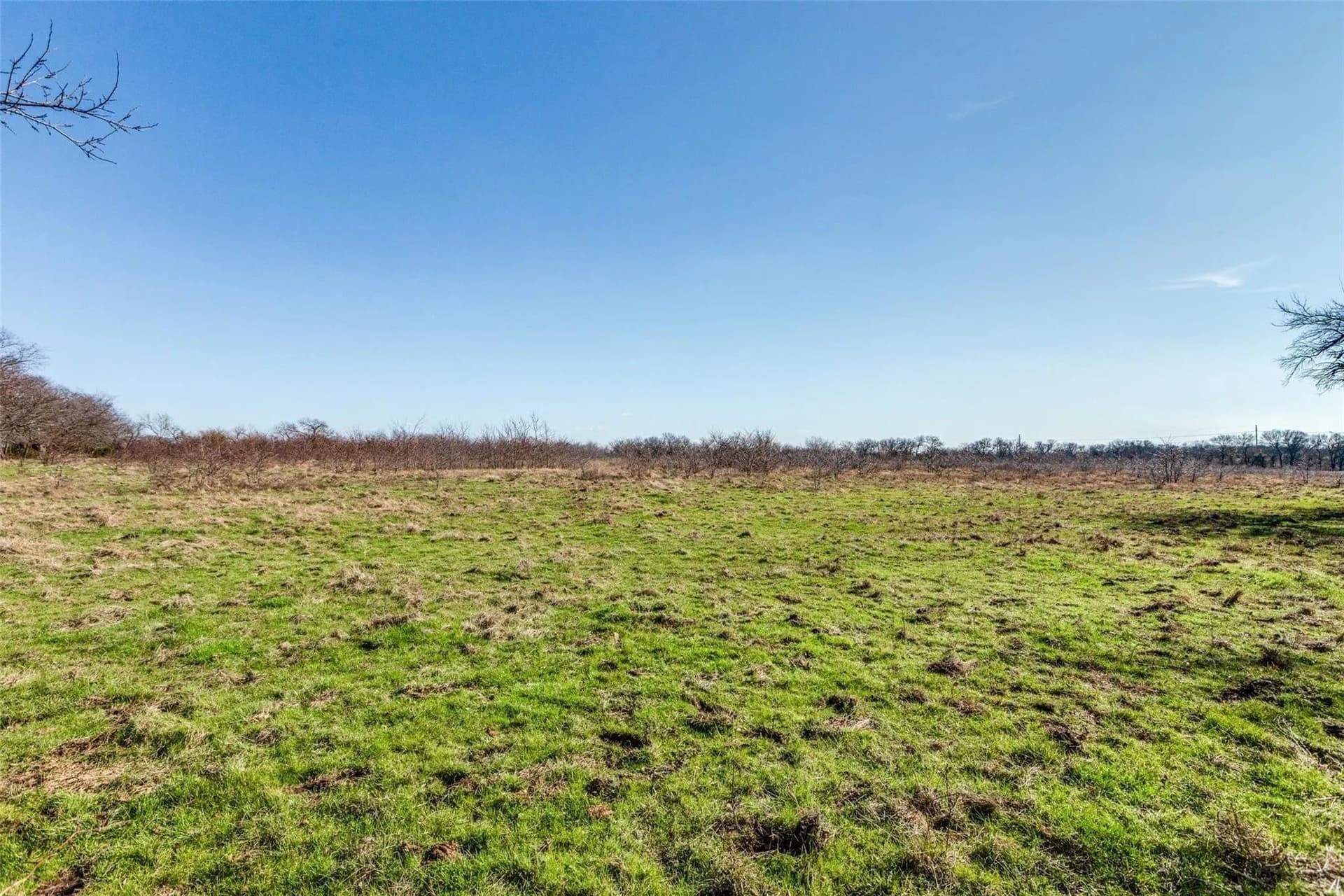 45.6 acres in Collin County - photo 11