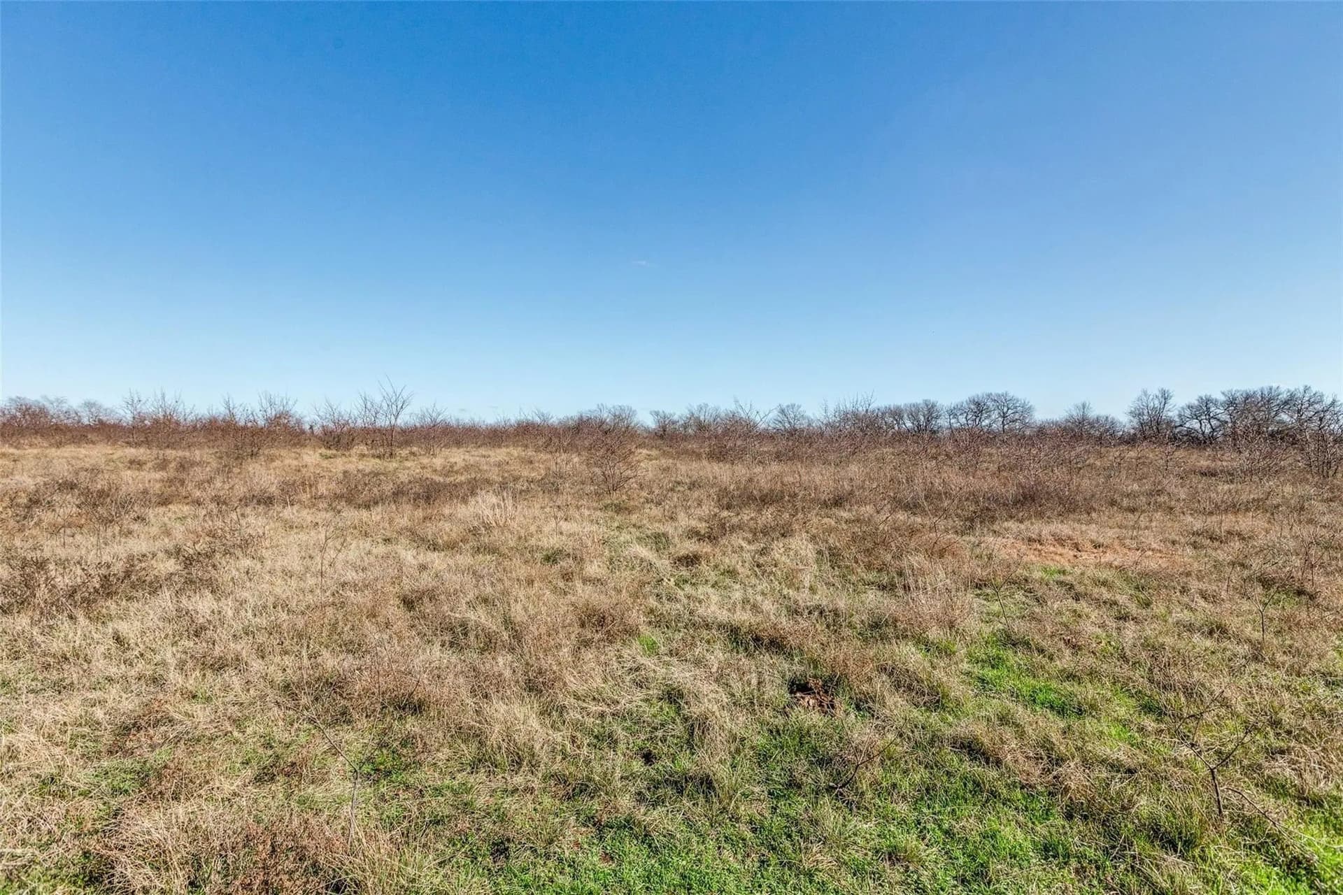 45.6 acres in Collin County - photo 3