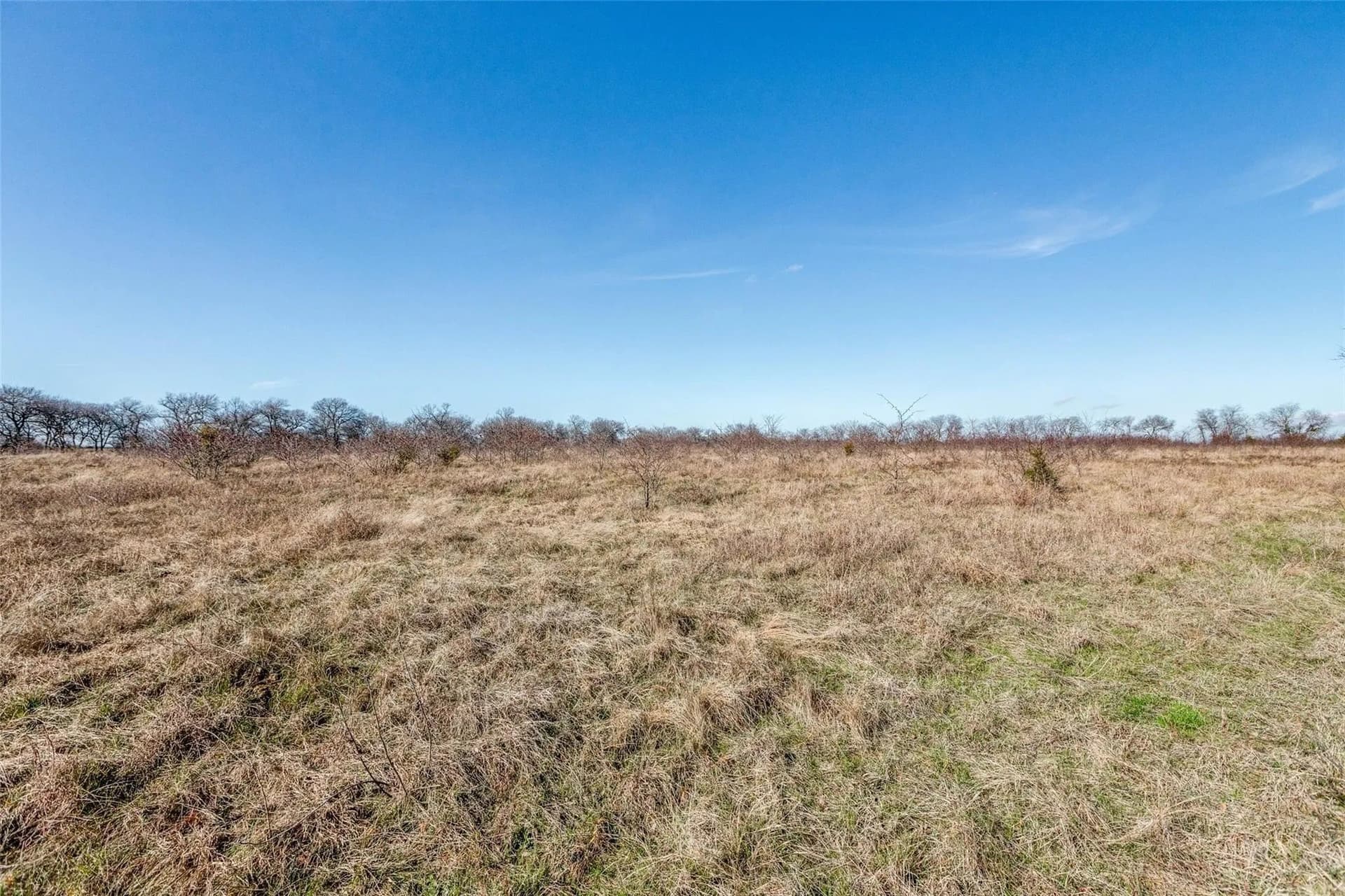 45.6 acres in Collin County - photo 9