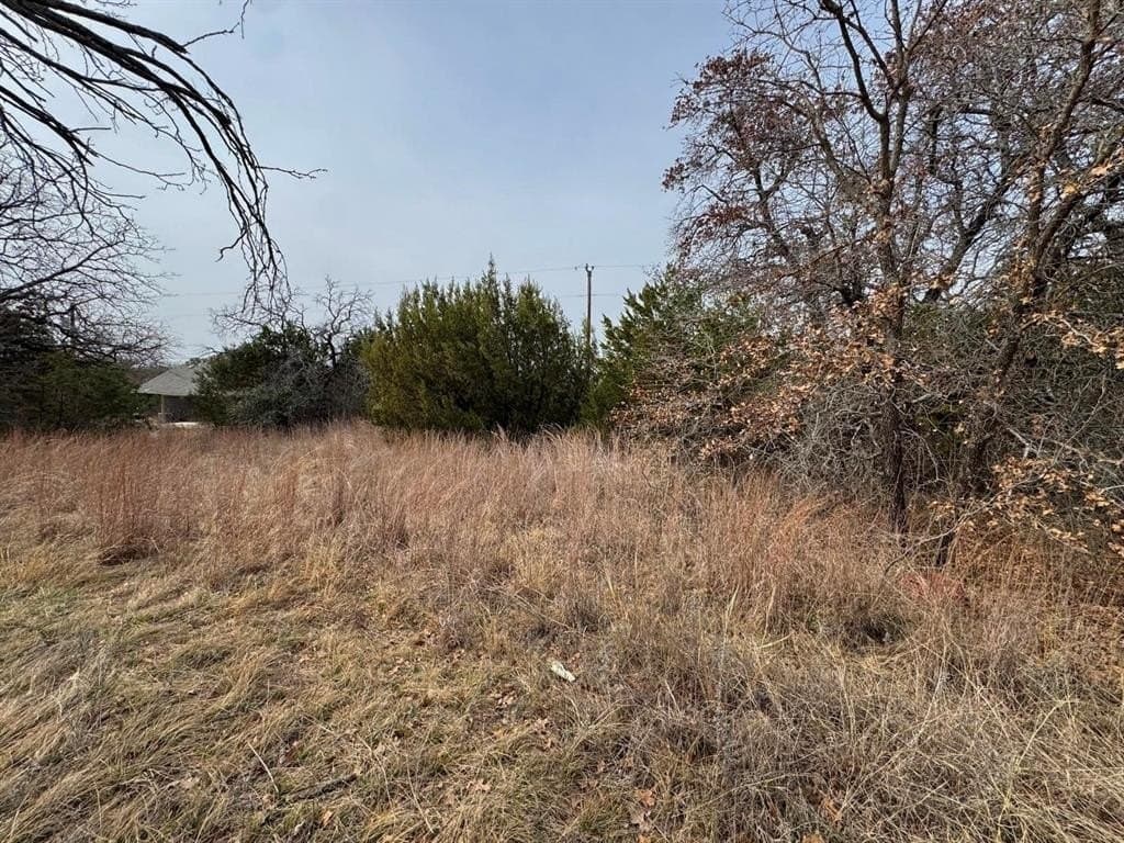 0.35 acres in Hood County gallery image 2