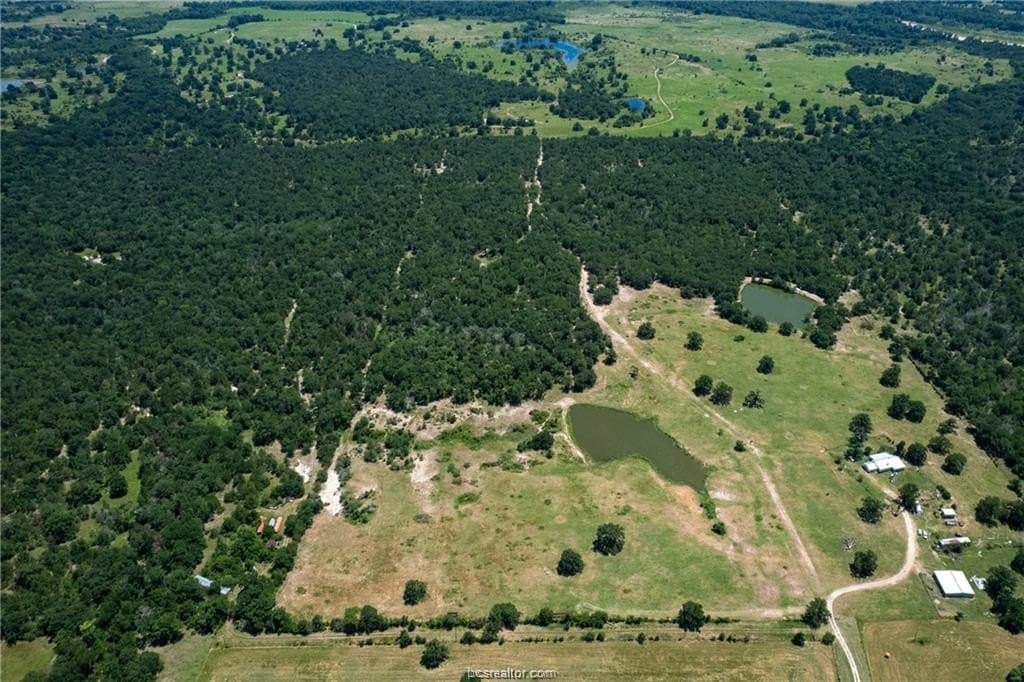 249.98 acres in Brazos County gallery image 3