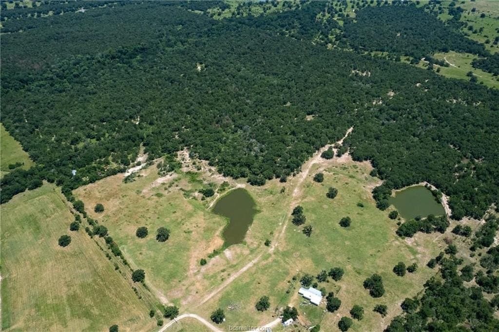 249.98 acres in Brazos County gallery image 4