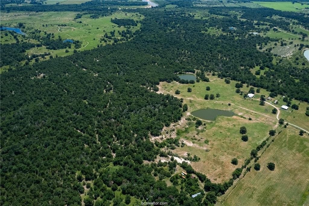 249.98 acres in Brazos County gallery image 2