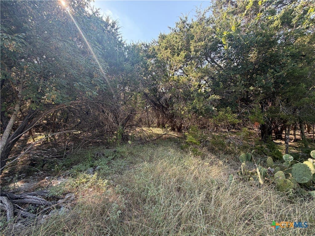 0.67 acres in Bell County gallery image 2