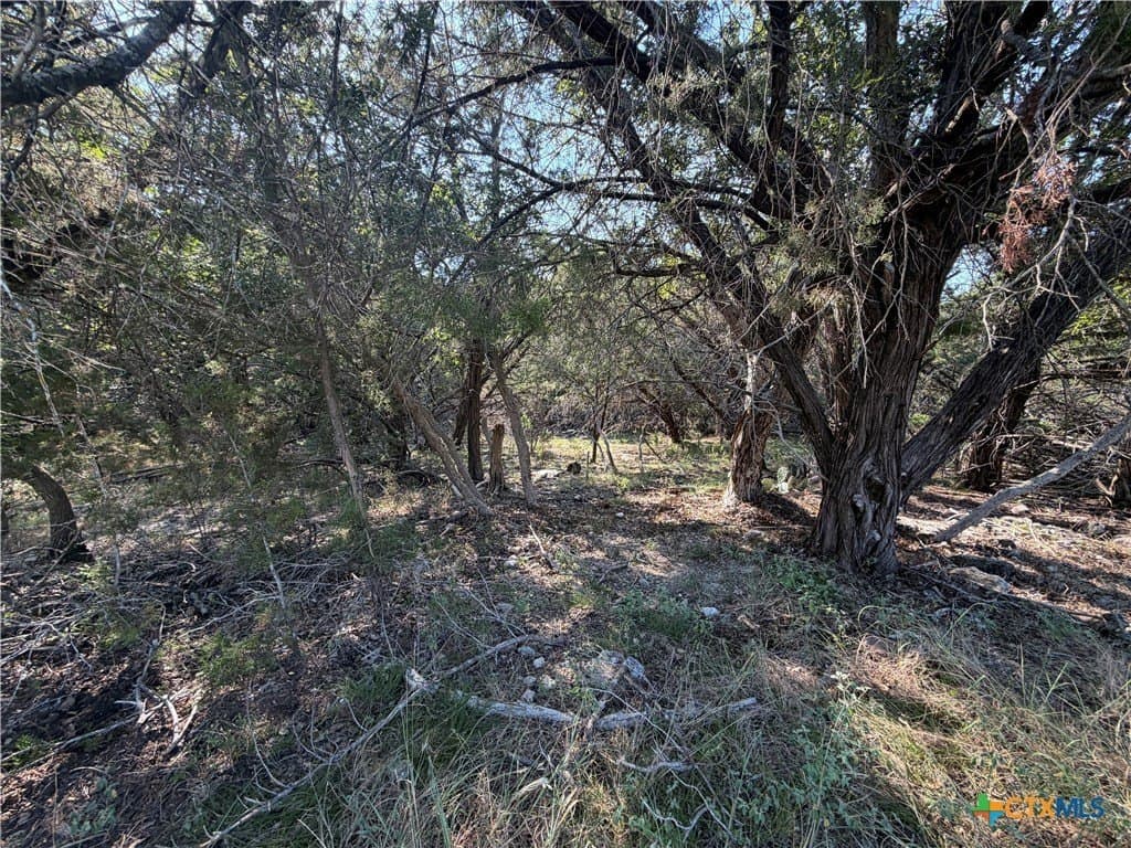 0.67 acres in Bell County featured view