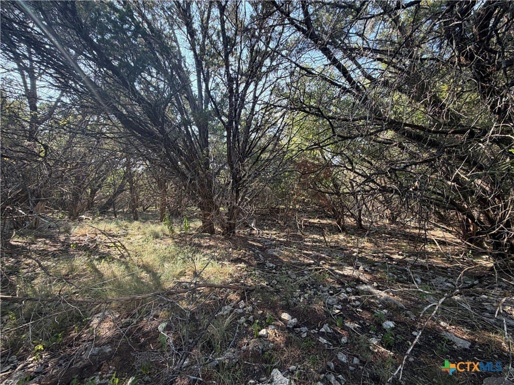 0.67 acres in Bell County gallery image 3