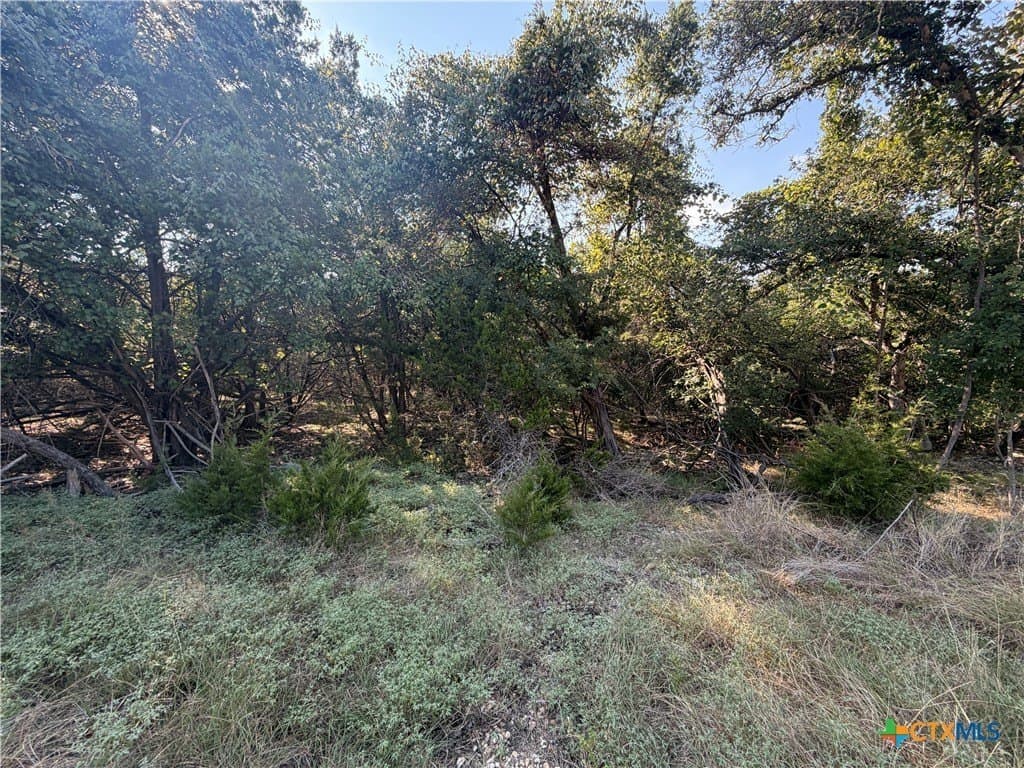 0.67 acres in Bell County gallery image 4