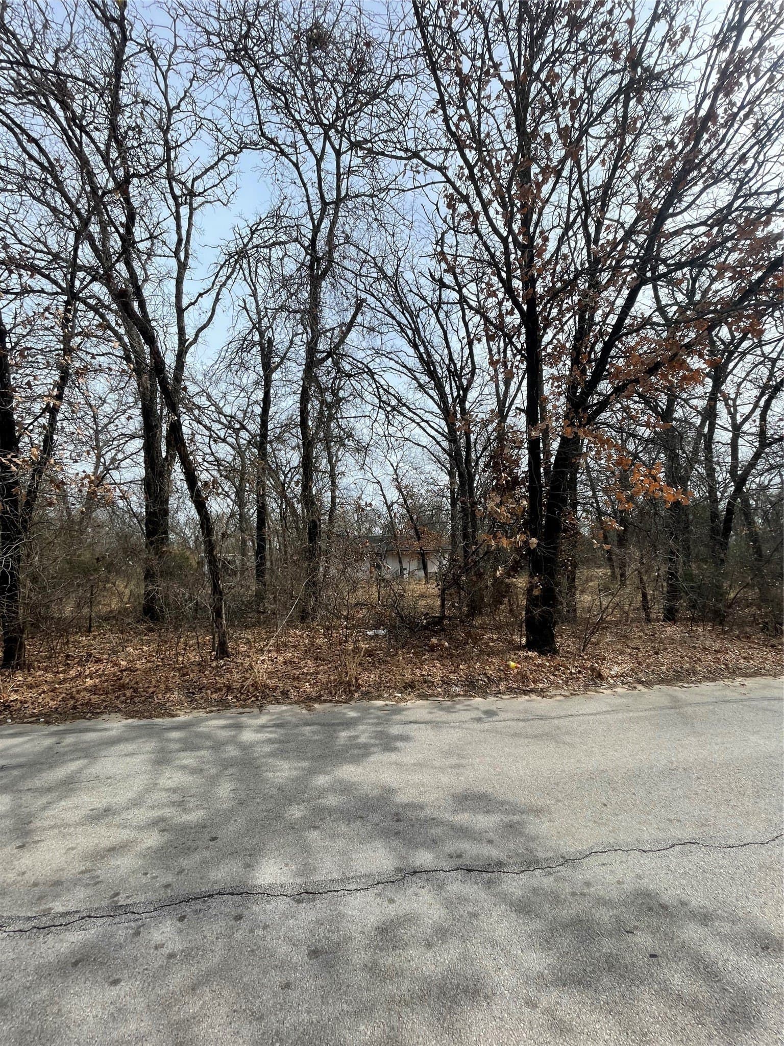 0.76 acres in Parker County gallery image 3