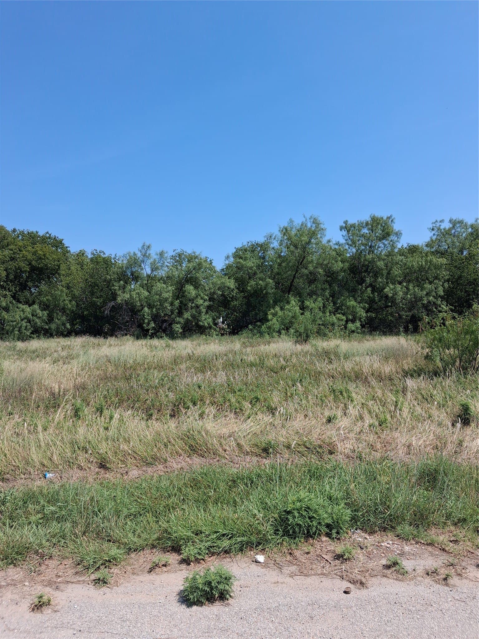 0.36 acres in Coleman County - photo 2