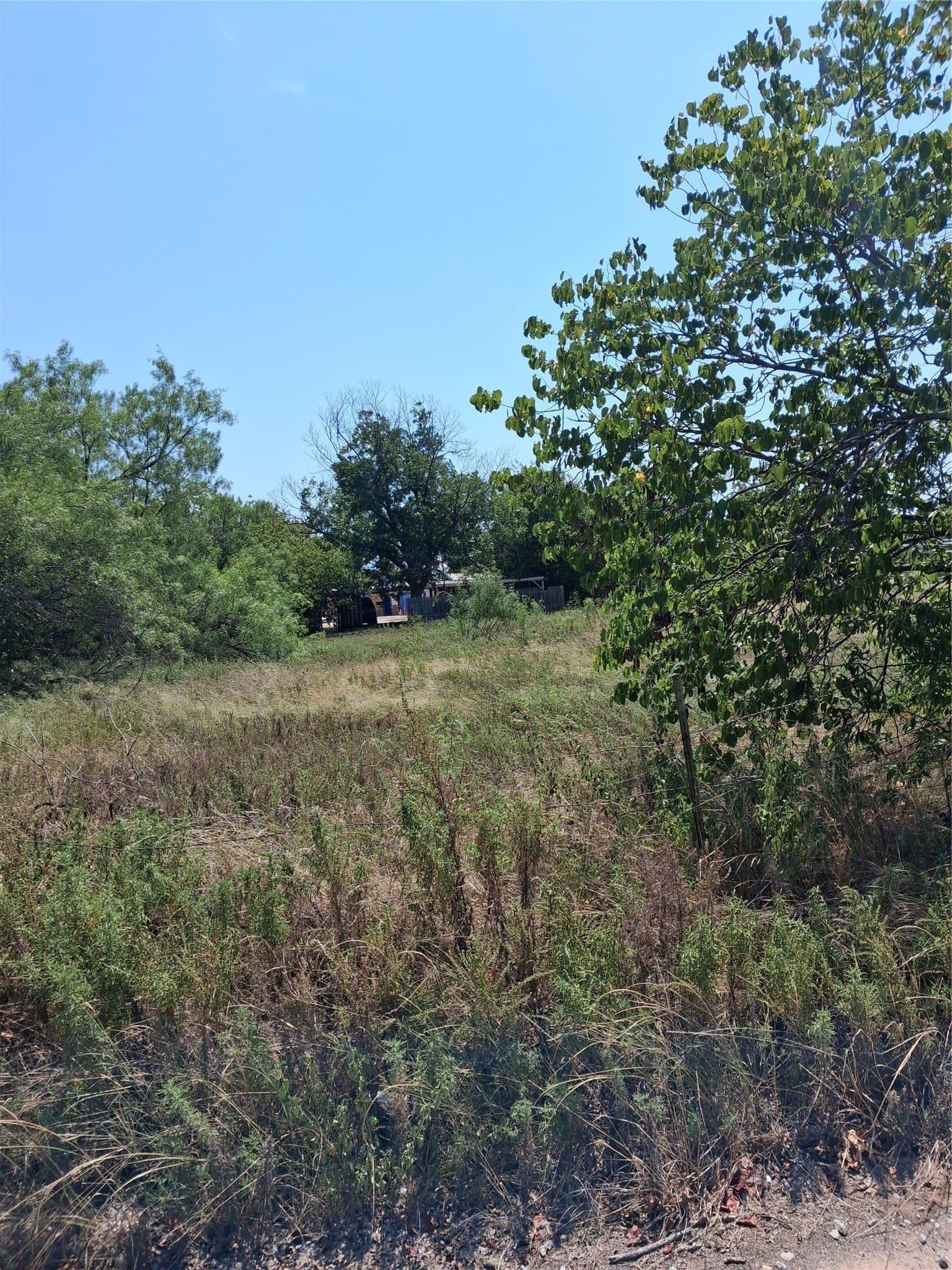 0.36 acres in Coleman County - photo 5