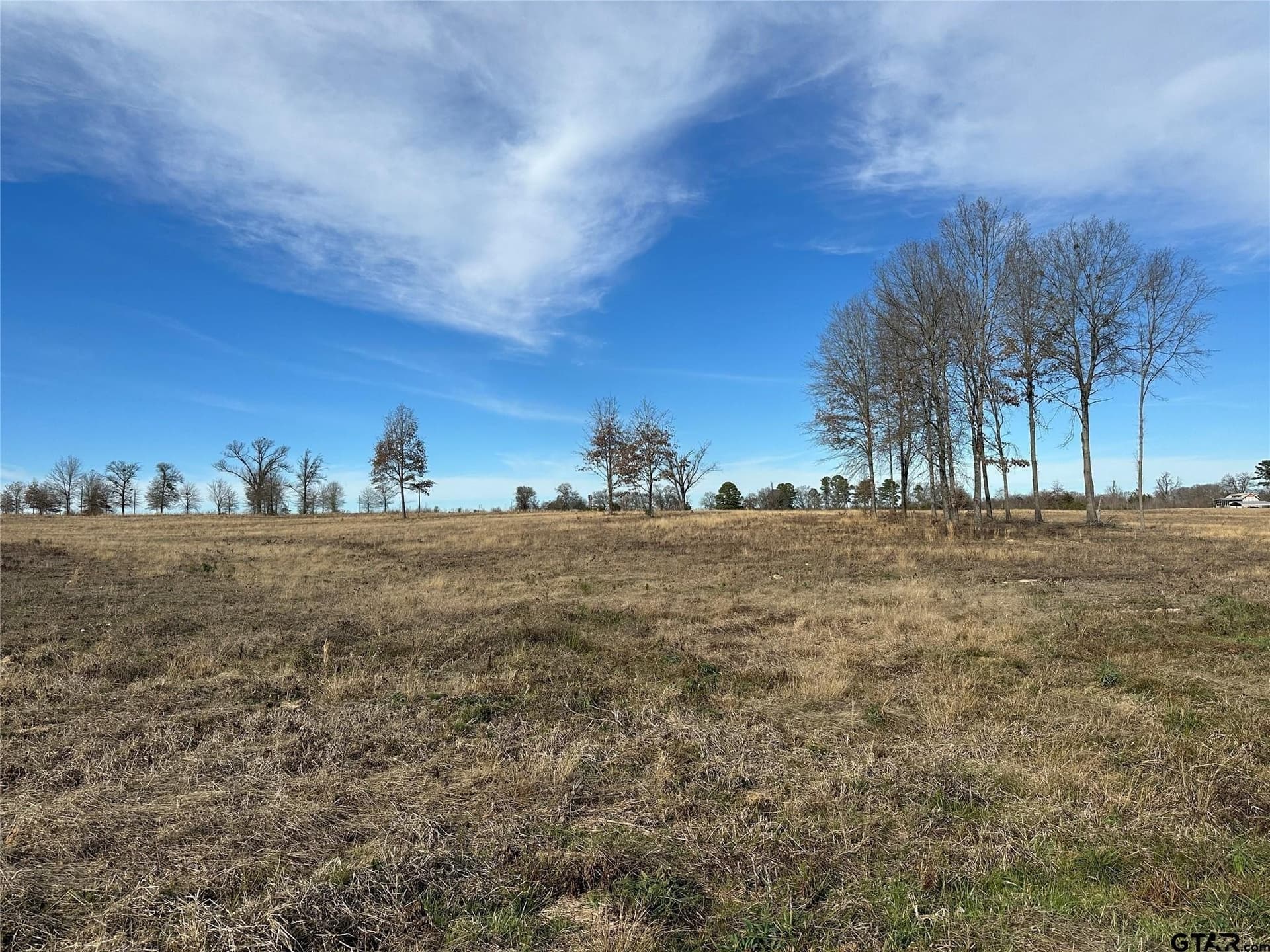 35.26 acres in Hopkins County gallery image 3