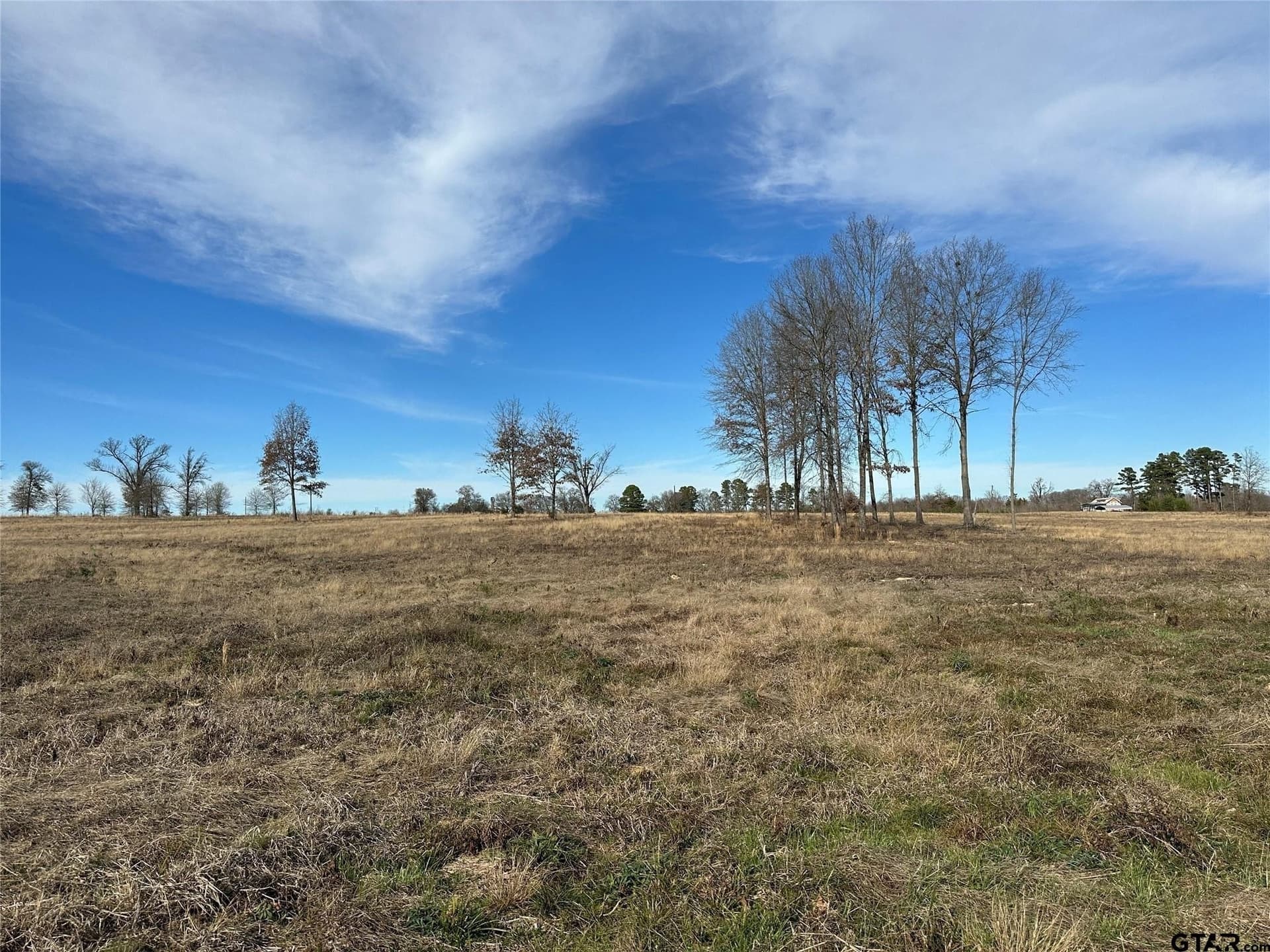35.26 acres in Hopkins County gallery image 4