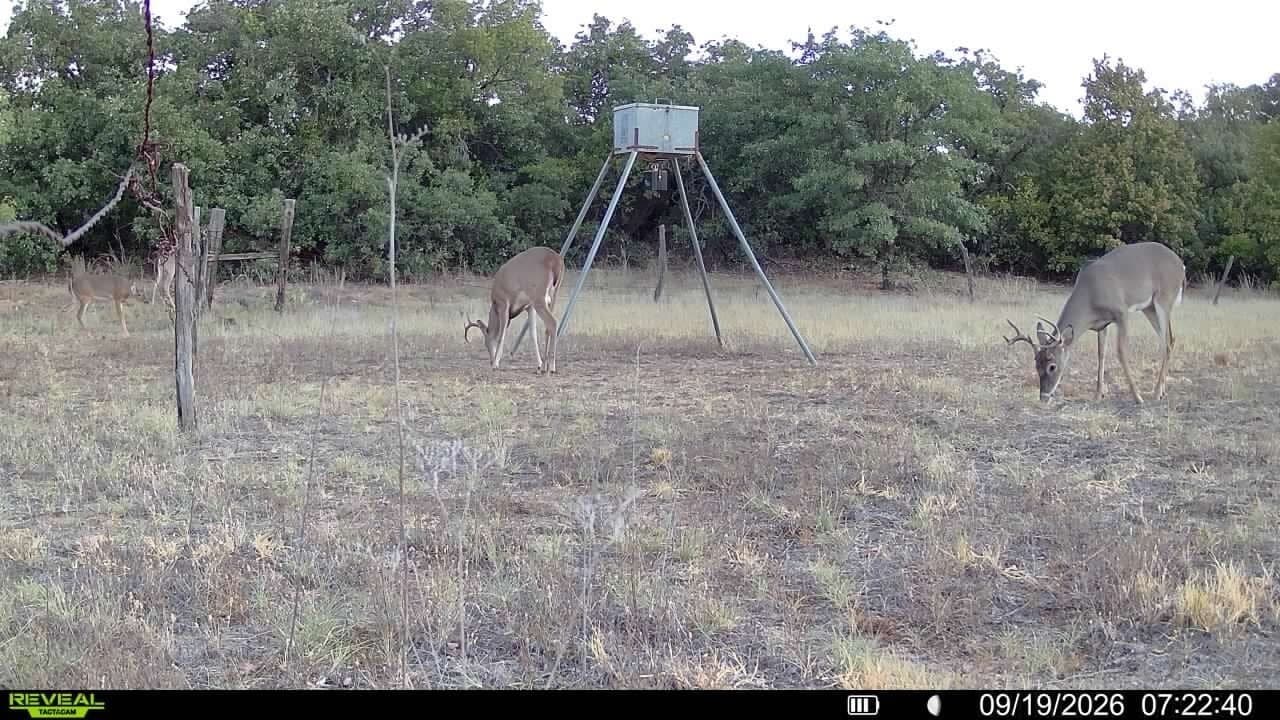 35.88 acres in Jones County - photo 16