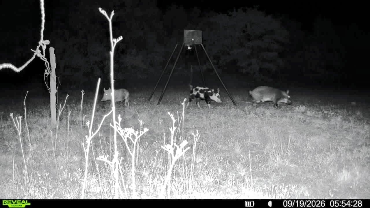 35.88 acres in Jones County - photo 3