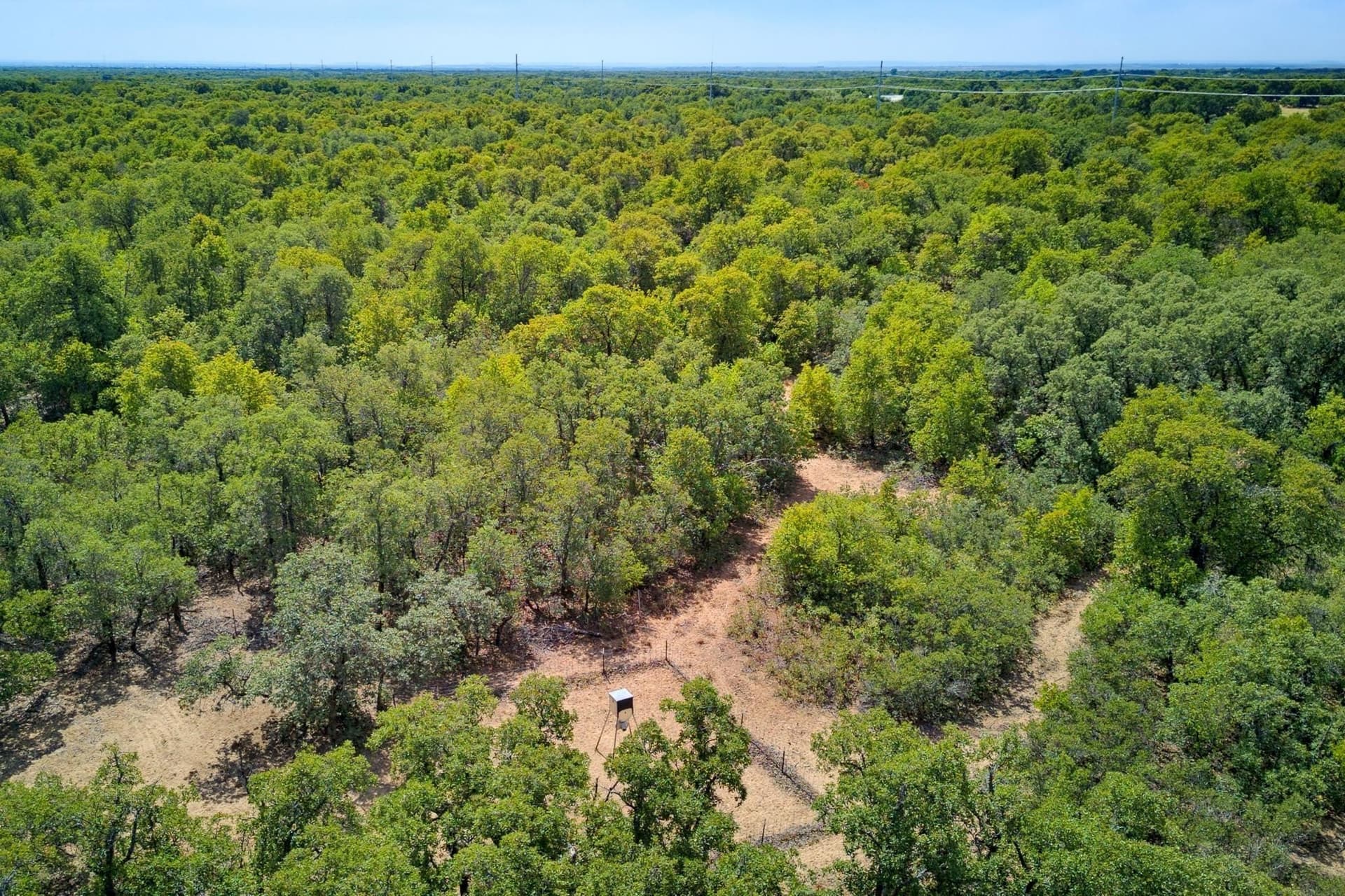35.88 acres in Jones County - photo 22