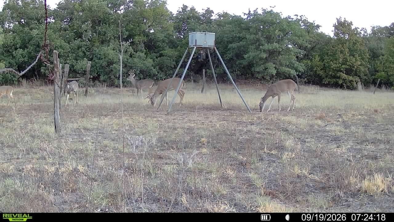 35.88 acres in Jones County - photo 21