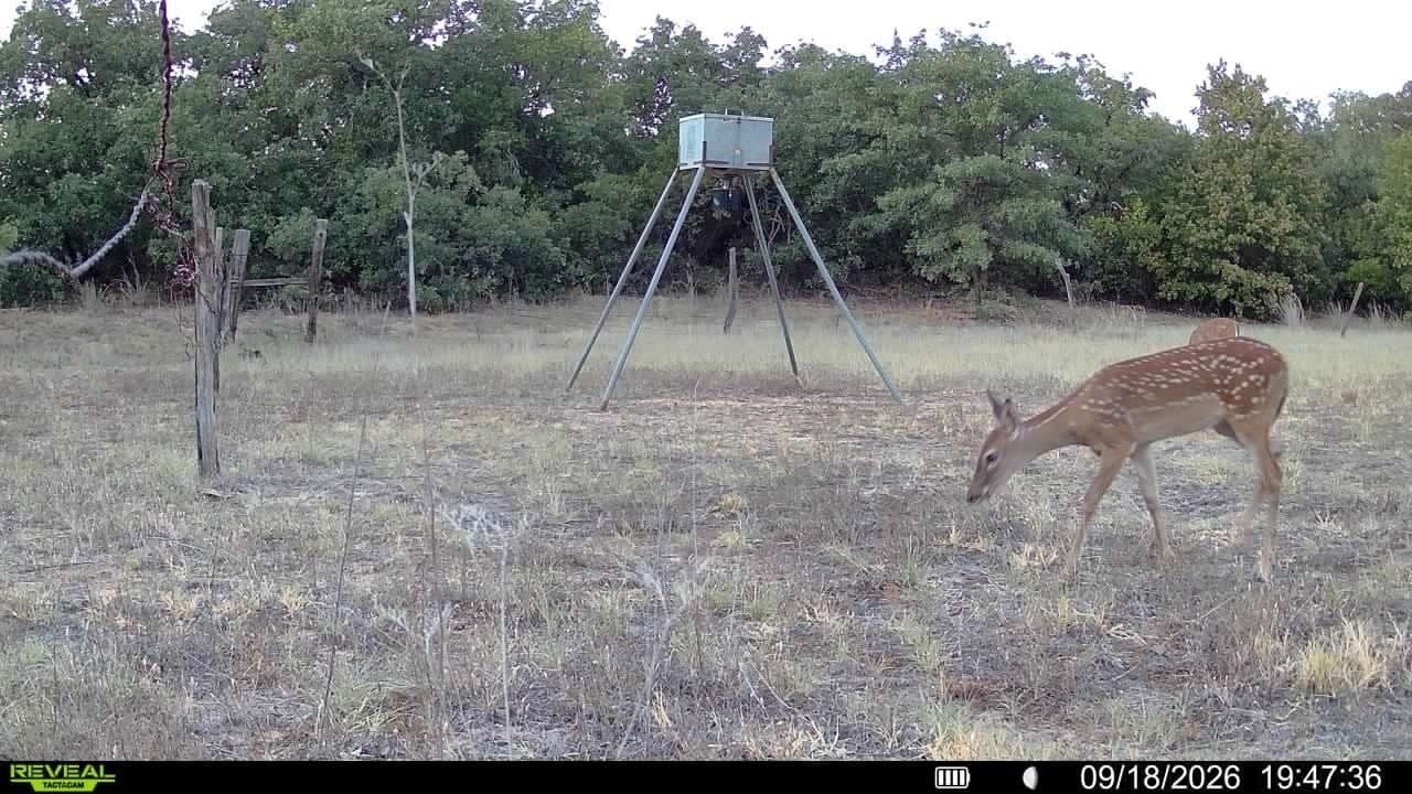 35.88 acres in Jones County - photo 26